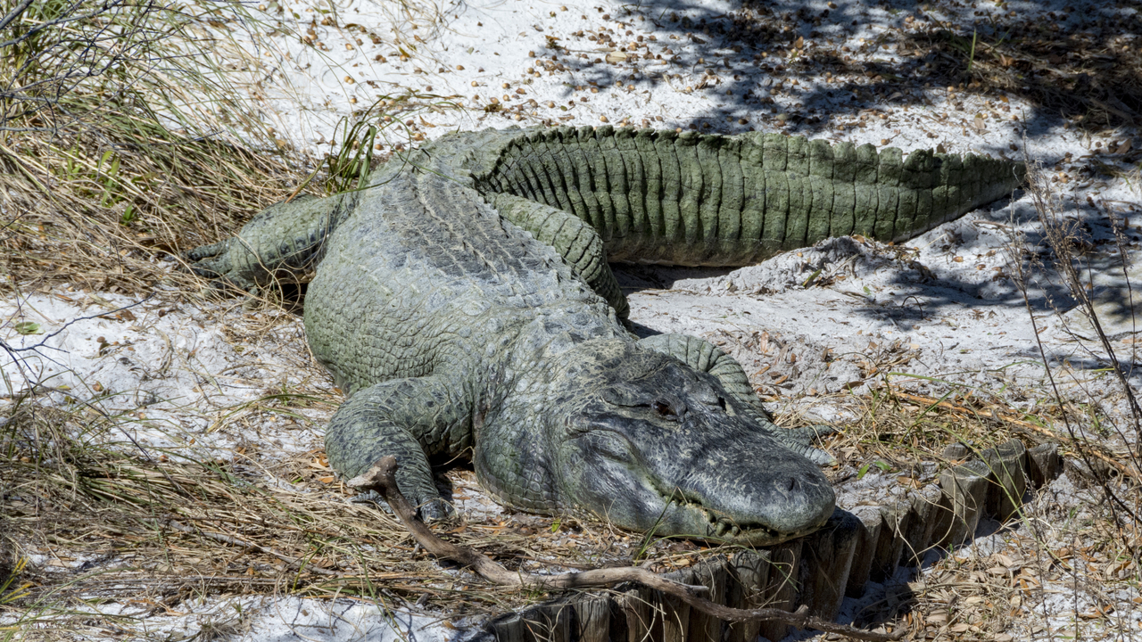 20160217-120236••Fort Walton Beach•Florida•USA